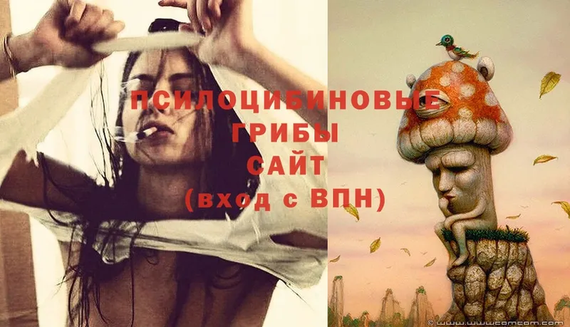 Псилоцибиновые грибы мухоморы  omg   Мышкин 